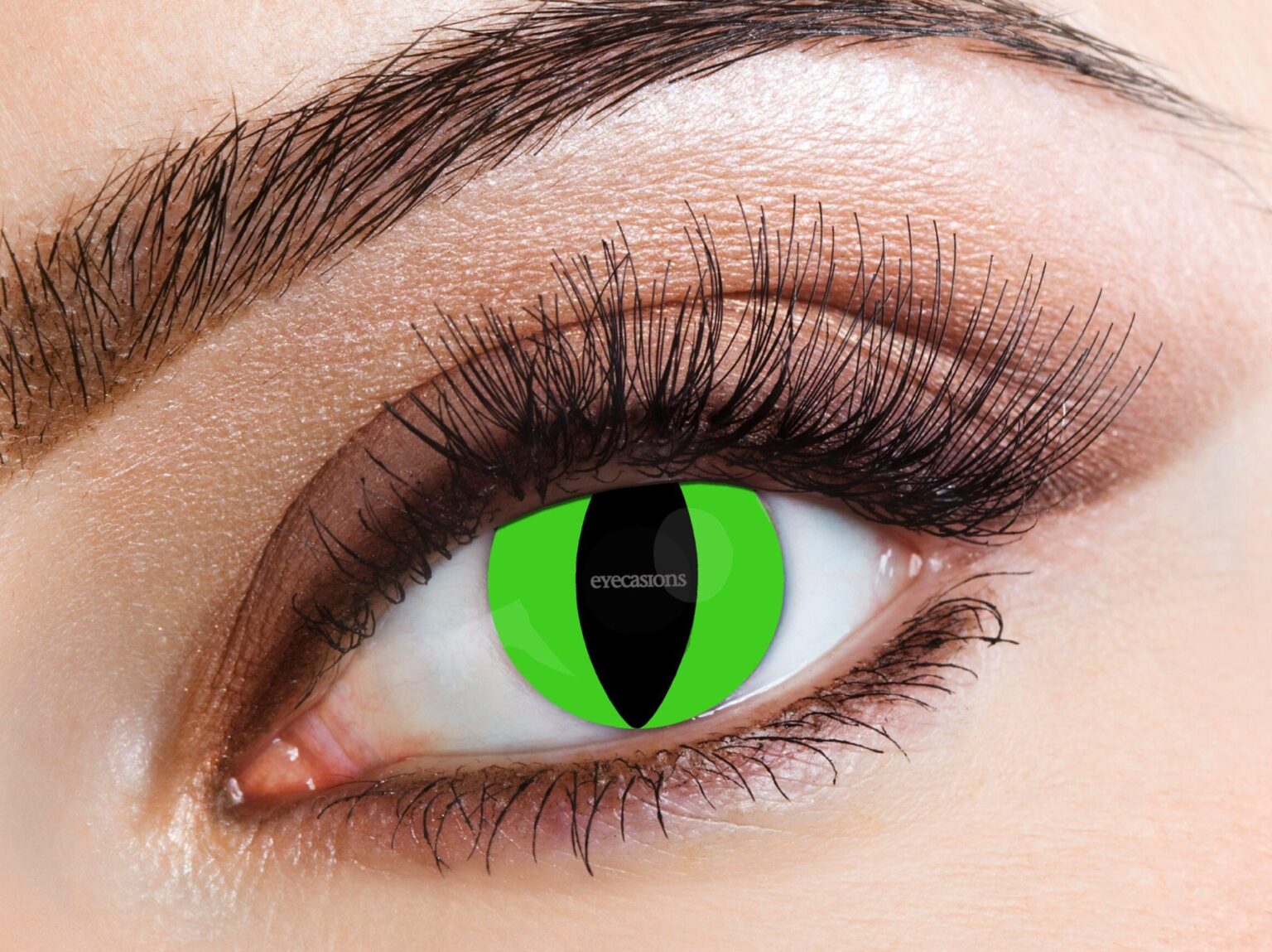 Daily Raptor Daily - Raptor Fashion Contact Lenses — Eyecasions