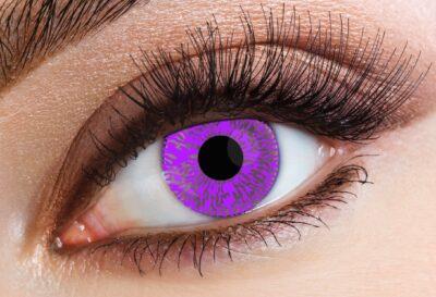 VioletTint.jpg